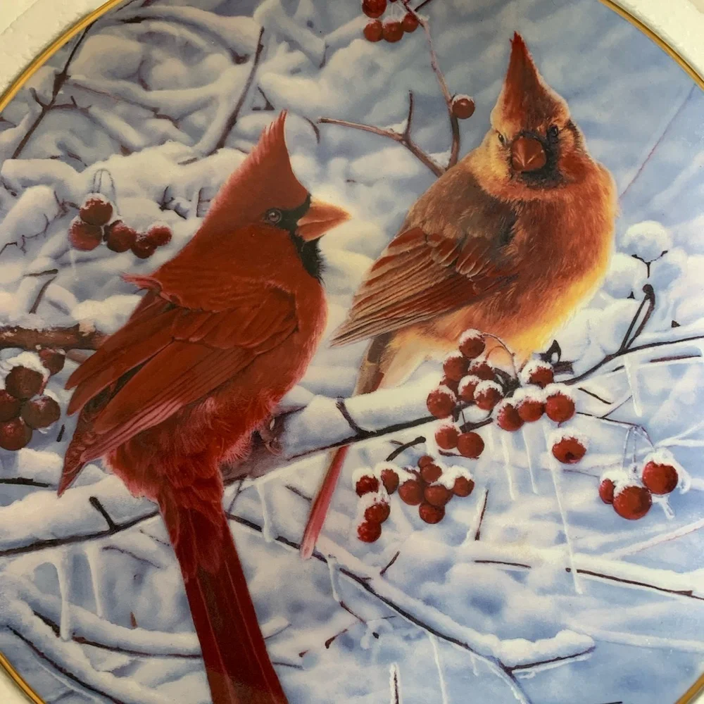 N/A beautiful cardinal